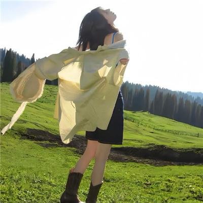 老鼠也移民之西部历险记